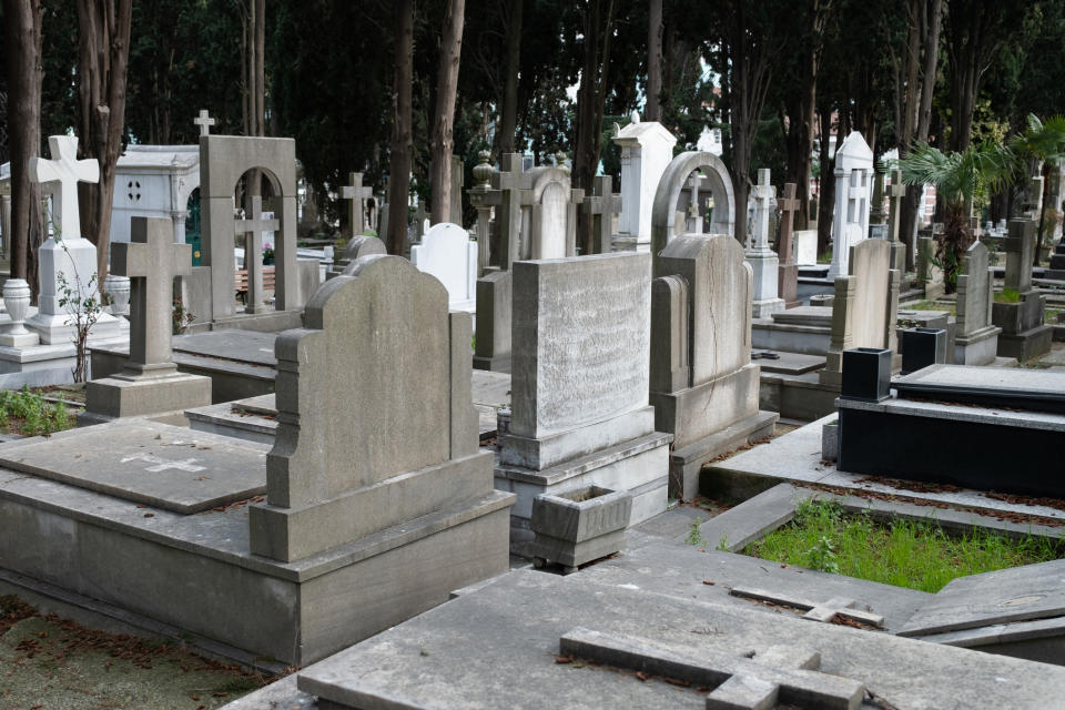 Tombstones of various shapes and sizes in a densely populated cemetery surrounded by trees