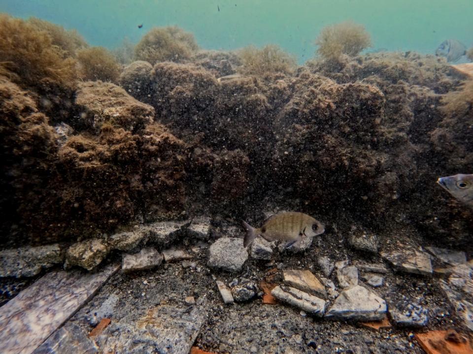 The remains of collapsed walls covering the mosaic floor. / Credit: Parco Archeologico Campi Flegrei