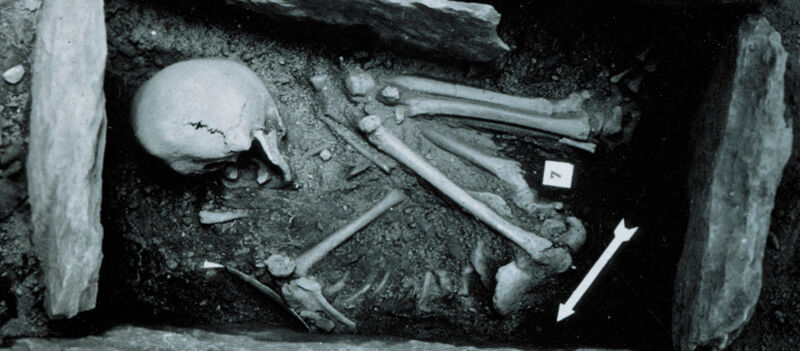 Grayscale image of an adult skeleton in fetal position, framed by vertical rocks.