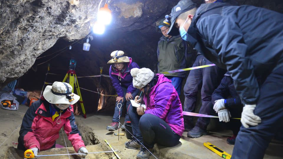 Analysis of bone fragments unearthed during excavations at the Baishiya Karst Cave has revealed which animals the Denisovans slaughtered, ate and processed. - Group of Dongju Zhang/Lanzhou University