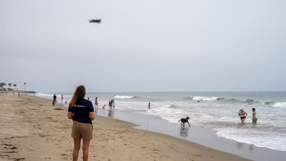 SharkEye drone pilot Samantha Mladjov at Padaro Beach in California. - Courtesy of Benioff Ocean Science Laboratory