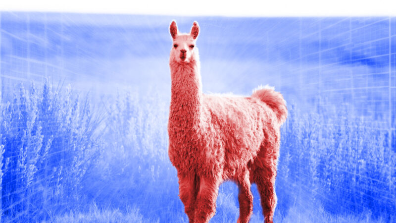 A red llama in a blue desert, illustration based on a photo.