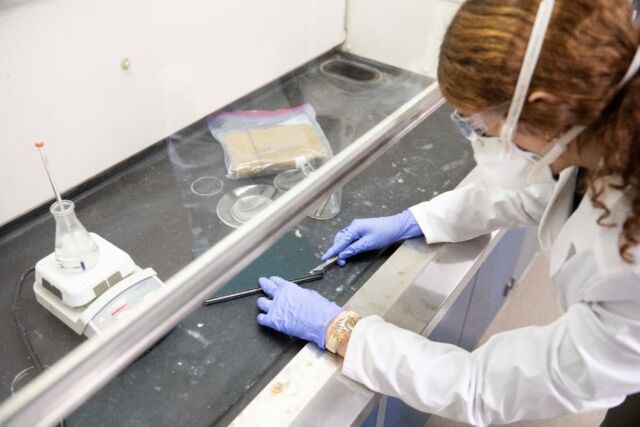 Lipscomb University student Leila Ais cuts a sample from a book cover to test for toxic dyes.