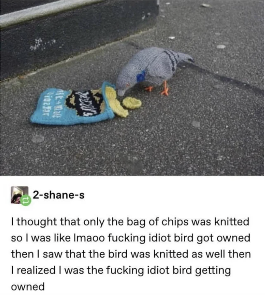 "I thought only the bag of chips was knitted"