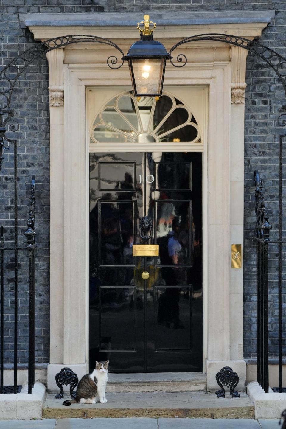 The cat was first brought to Downing Street by David Cameron as a pet for his children and has since outlived five prime ministers (PA Wire)