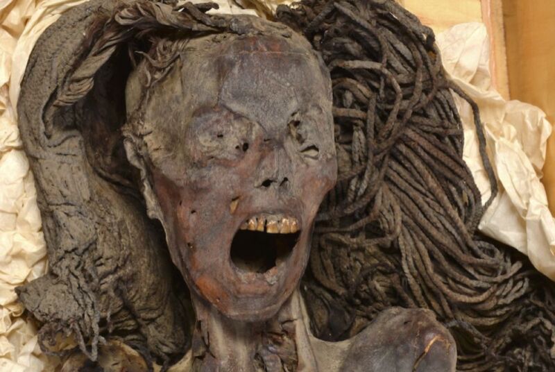 The Mummy of the Screaming Woman, close-up of head/skull surrounded by an elaborate wig