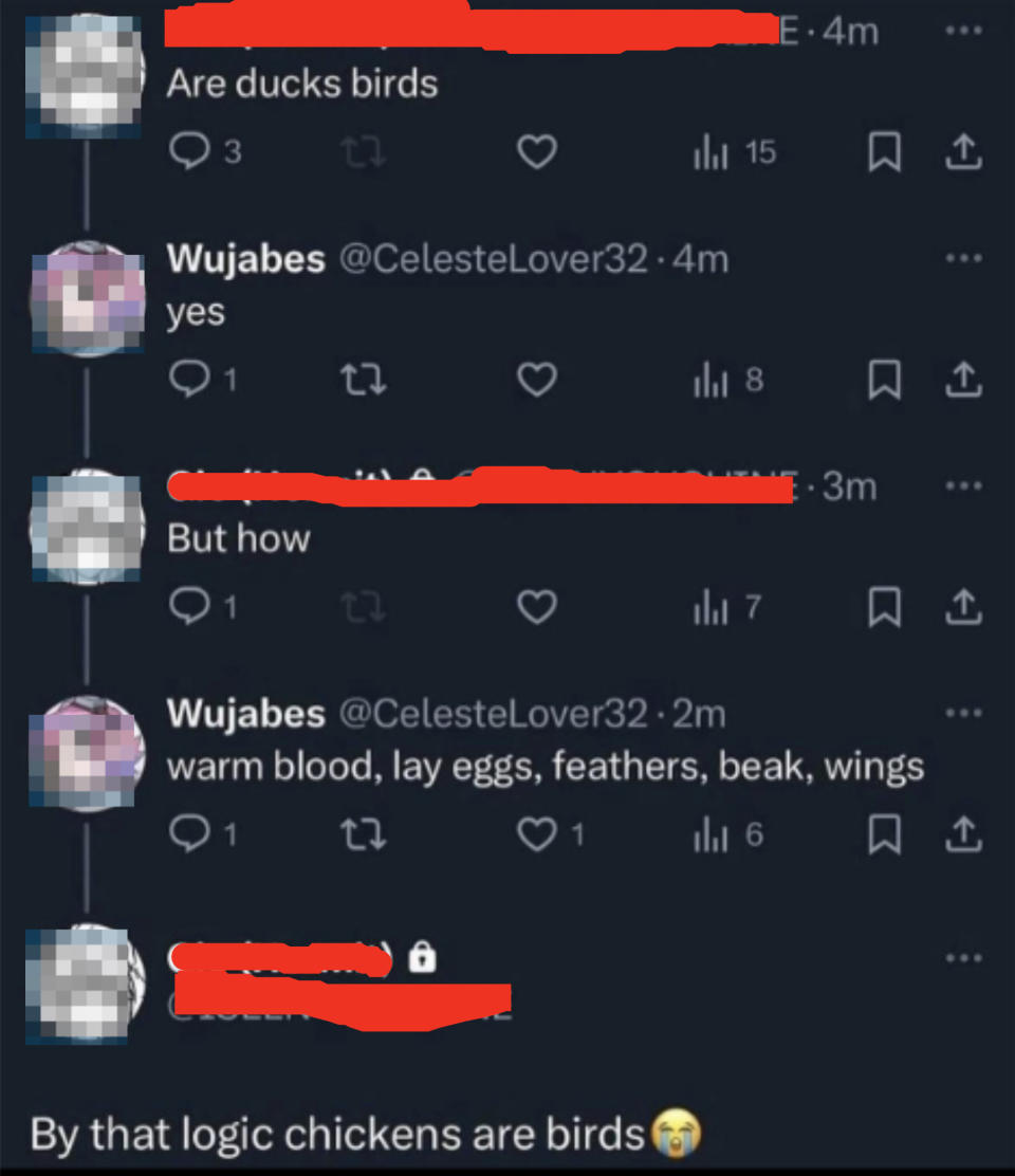 Text conversation in which user Gio (Hermit) asks if ducks are birds. Wujabes confirms, gives reasons, and Gio concludes that chickens must be birds too