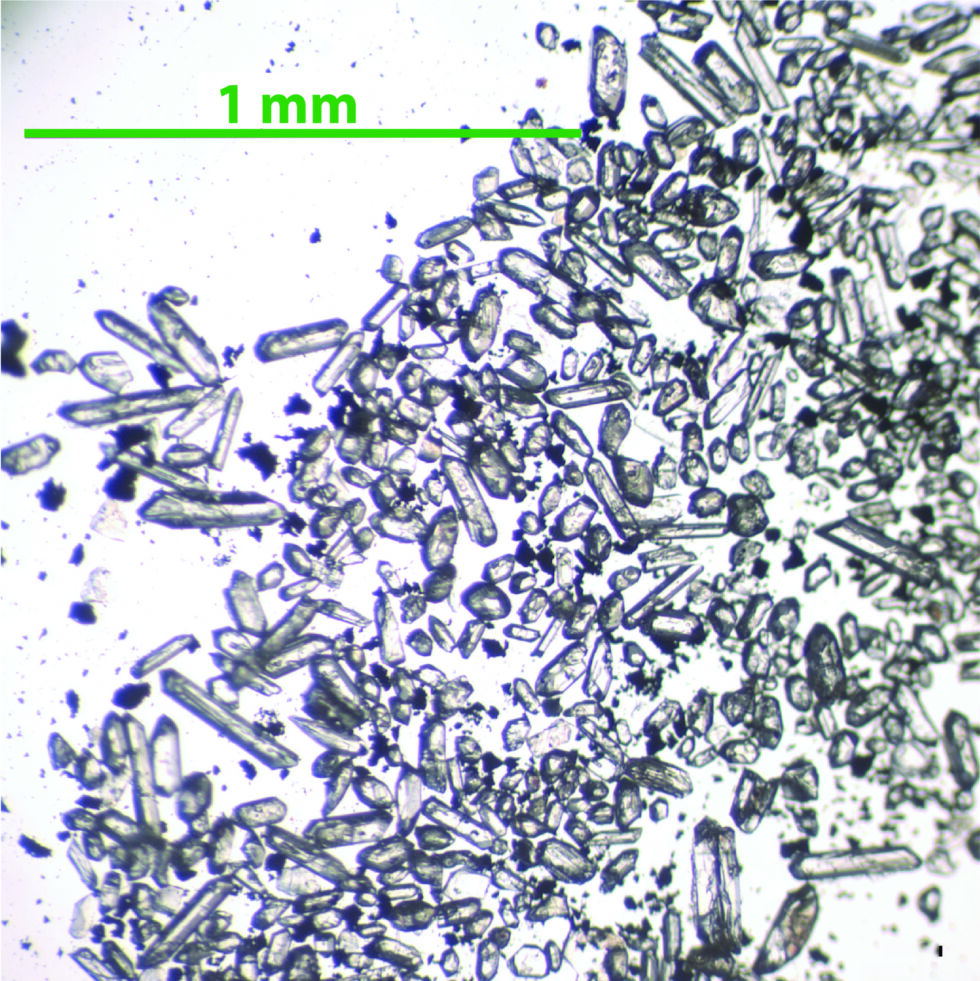 Small bells: Zircon crystals from volcanic ash that fell into the Caribbean Sea during the Miocene.