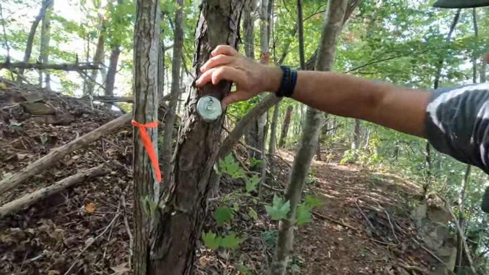 A frame grab from Fred and Shelia McCoy's YouTube page shows a measurement mark on a tree. The video posted to the couple's YouTube page shows measurement marks on the ground and trees. Fred, who has a background in law enforcement, said he believes police used these to determine exactly where Couch was shooting from.