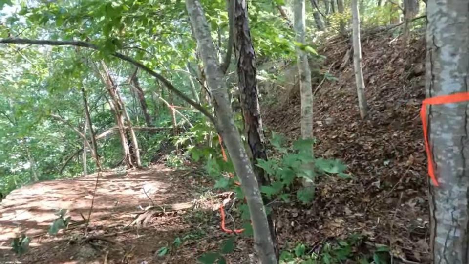 Torn red tape surrounds the wooded scene where Fred and Sheila McCoy say Joseph Couch shot at 12 vehicles on Sept. 7, 2024. The image, taken from their YouTube page, was taken the day before the couple found Couch's body. 