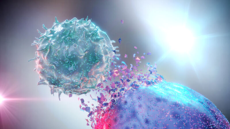 3D rendering of an NK cell destroying a cancer cell.