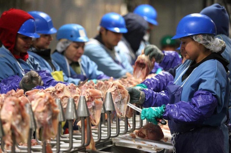 Workers cut poultry at the Pitman Family Farms processing plant in Sanger.