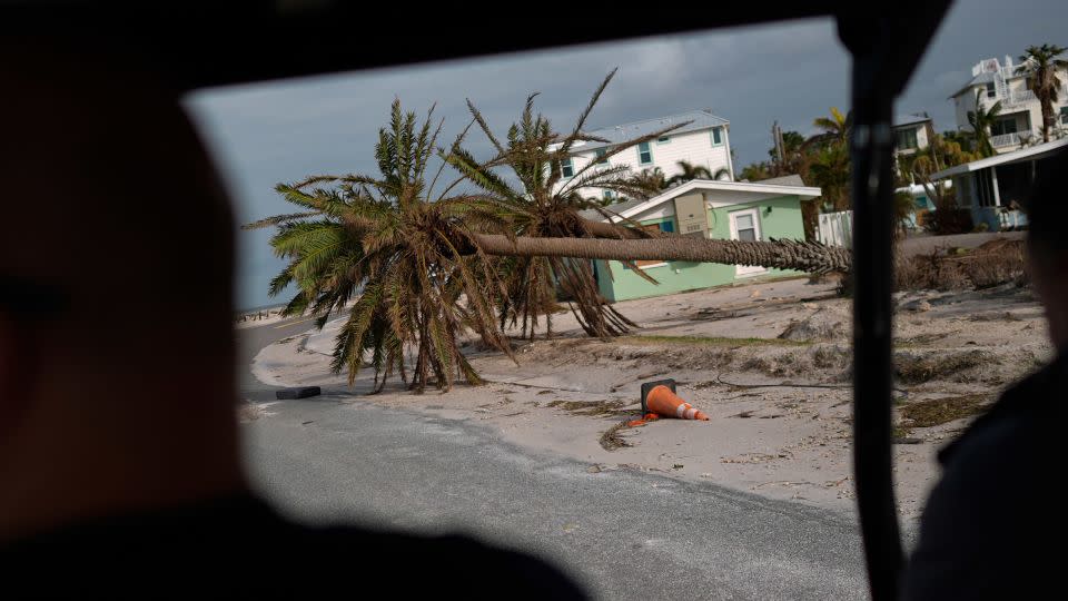 Fallen palm trees line a road in Bradenton Beach on Anna Maria Island, Florida, on Oct. 10, 2024. - Rebecca Blackwell/AP