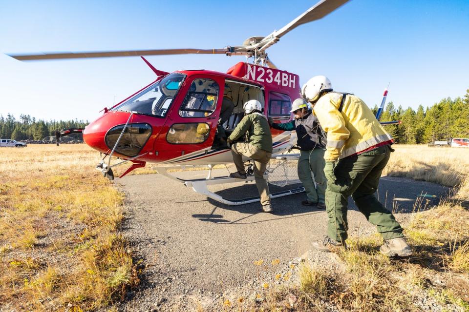 Yellowstone NPS rangers have announced plans to scale back search efforts for missing 22-year-old, but his father remains defiant (Yellowstone National Park)