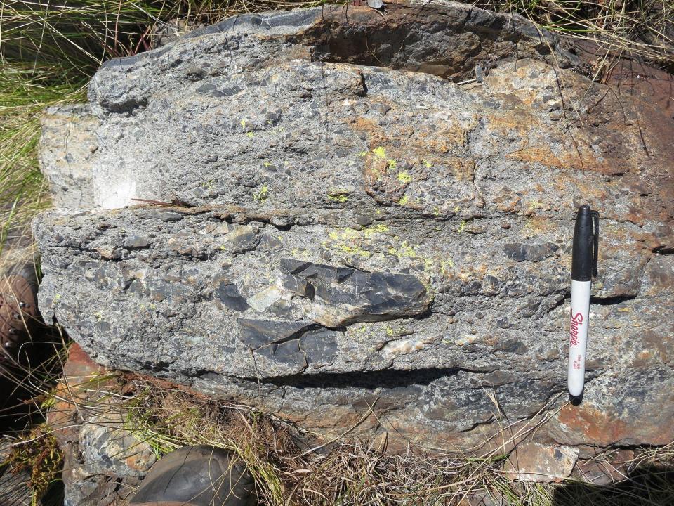 A rock from the seabed with a pin for scale