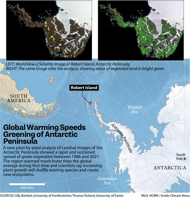 illustration of Antarctica and satellite photos