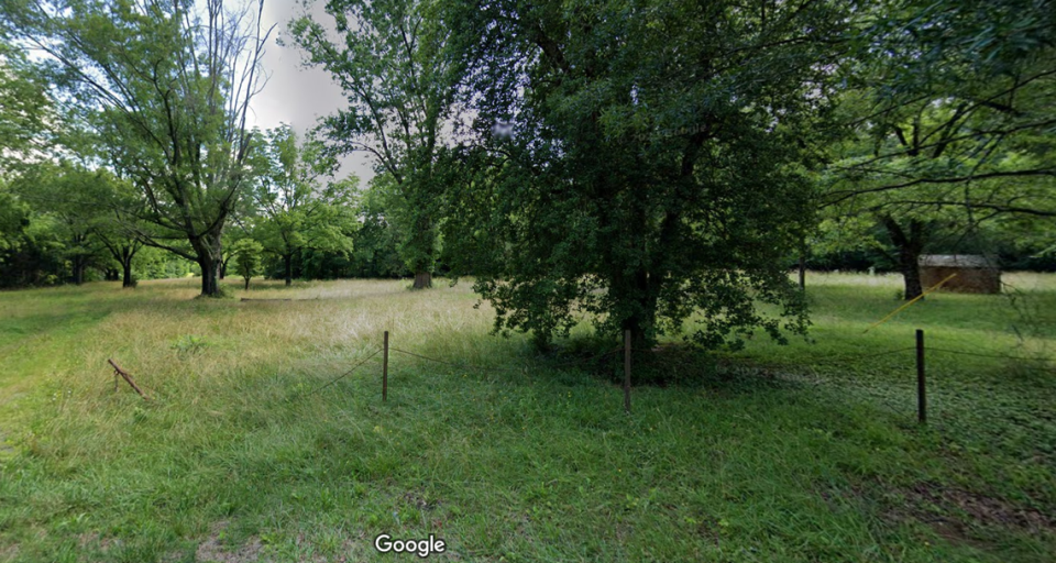 Teresa Earnhardt, widow of NASCAR legend Dale Earnhardt, plans to convert 399 of her rural acres in east Mooresville into an industrial park. The image is part of the property on Rustic Road.