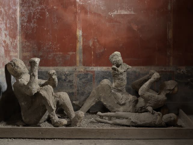 DNA from Pompeii overturns assumptions about roles and relationships in ancient Rome