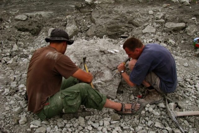 Excavations at the Late Triassic site in Lisowice, Poland.