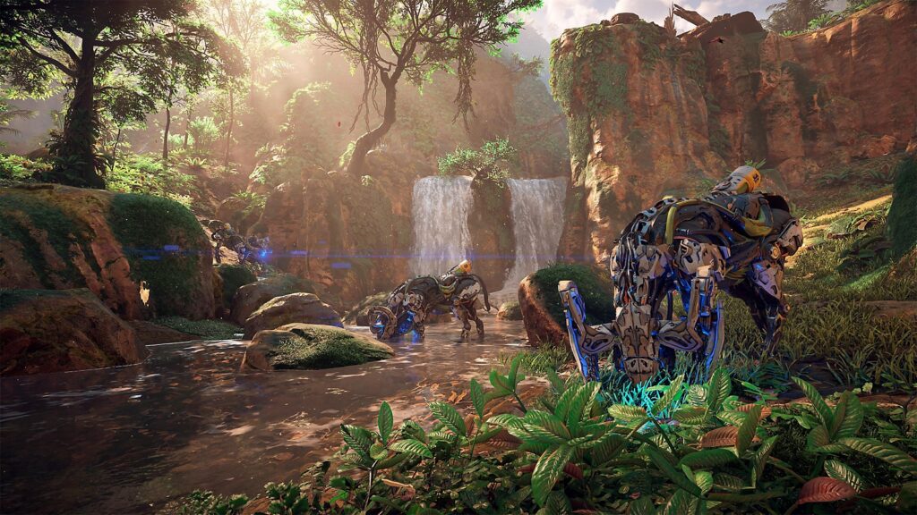 A photo of the game's jungle.