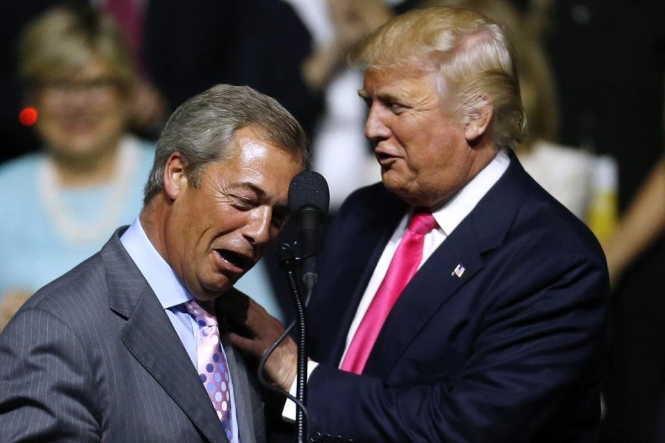 Special relationship: Nigel Farage has a close relationship with Trump (Getty)