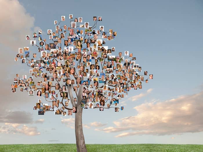 A tree with numerous photo frames on branches, each depicting different individuals, against a sky background