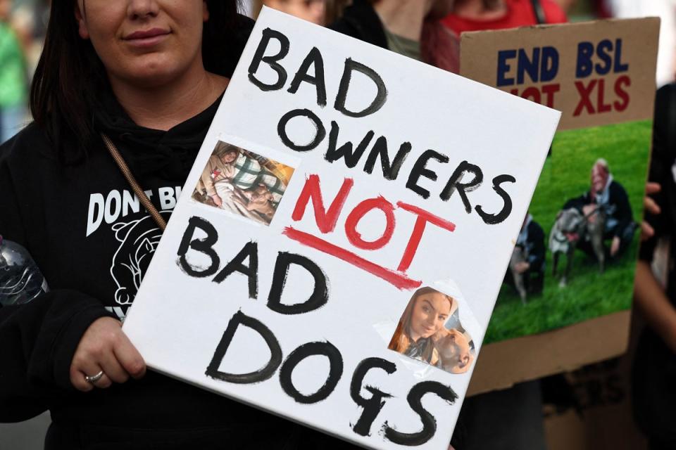 Supporters of the XL Bully Breed during a protest against banning the dogs in Central London last year (Getty)