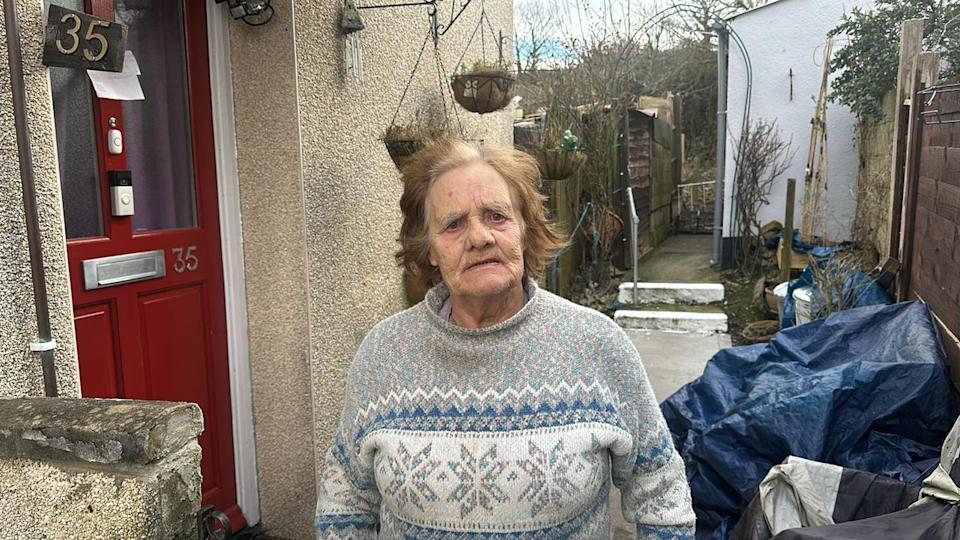 Doreen Tovey said she heard a woman screaming 'they killed my dog' after the attack (independent)