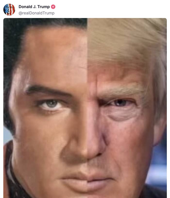 Hybrid face image combining characteristics of Elvis Presley on the left and another man on the right