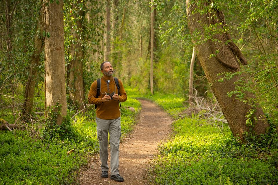 Person walking on a forest path with binoculars, with a sweater and backpack, surrounded by lush greenery