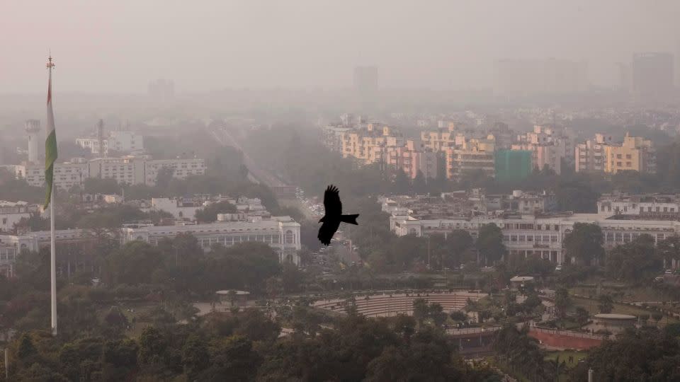 A bird flies on November 20, 2024 through a thick layer of smog in New Delhi, India. - Manish Swarup/AP/File