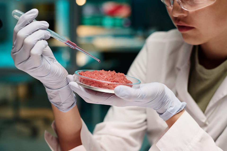 Female researcher who adds pink liquid to meat sample with the help of a pipette that works in the laboratory