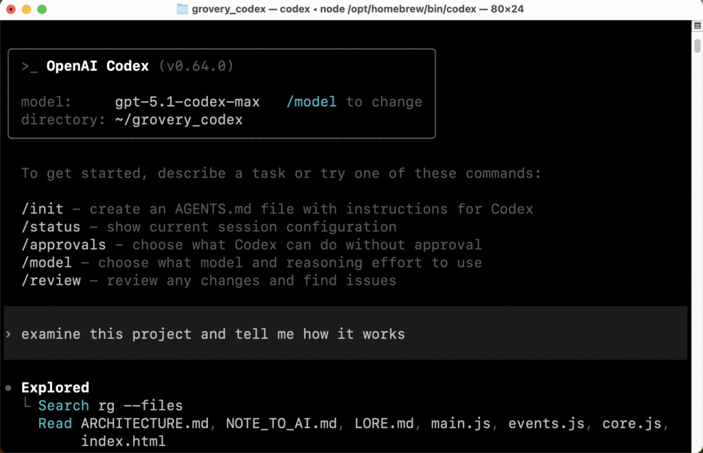 The command-line version of OpenAI codex running in a macOS terminal window.
