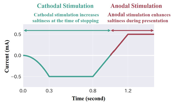 Image of the electrical stimulation waveform used. 