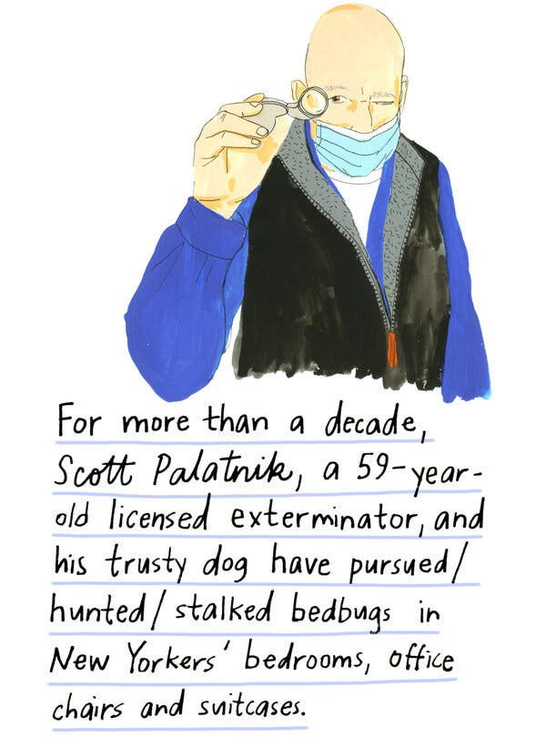 For more than a decade, Scott Palatnik, a 59-year-old licensed exterminator, and his trusty dog ​​have been hunting bedbugs in New Yorkers' bedrooms, desk chairs, and suitcases.