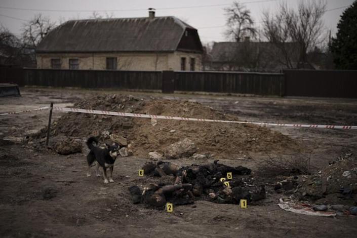 EDS NOTE: GRAPHIC CONTENT - A dog stands next to six unidentified charred bodies lying on the ground in a residential area in Bucha, on the outskirts of Kiev, Ukraine, Tuesday, April 5, 2022. Ukraine's president plans to kill the most powerful UN agency after even more horrifying evidence emerged of civilian killings in areas recently abandoned by Russian forces.  (AP Photo/Felipe Dana)