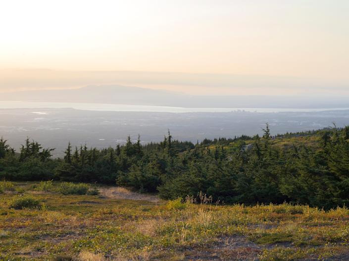 The view of the anchorage from the flat top peak in alaska with trees