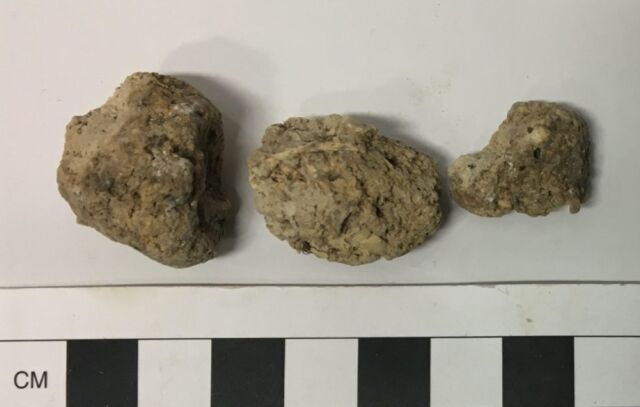 Human coprolite (preserved human excrement) from Durrington Walls, a Neolithic settlement near Stonehenge.