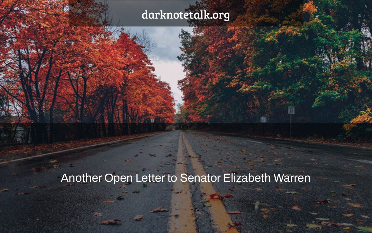 Another Open Letter to Senator Elizabeth Warren - Dark Note Talk