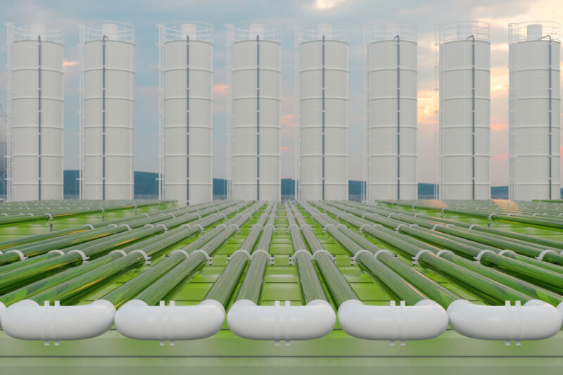 Image of a facility filled with green colored tubes.