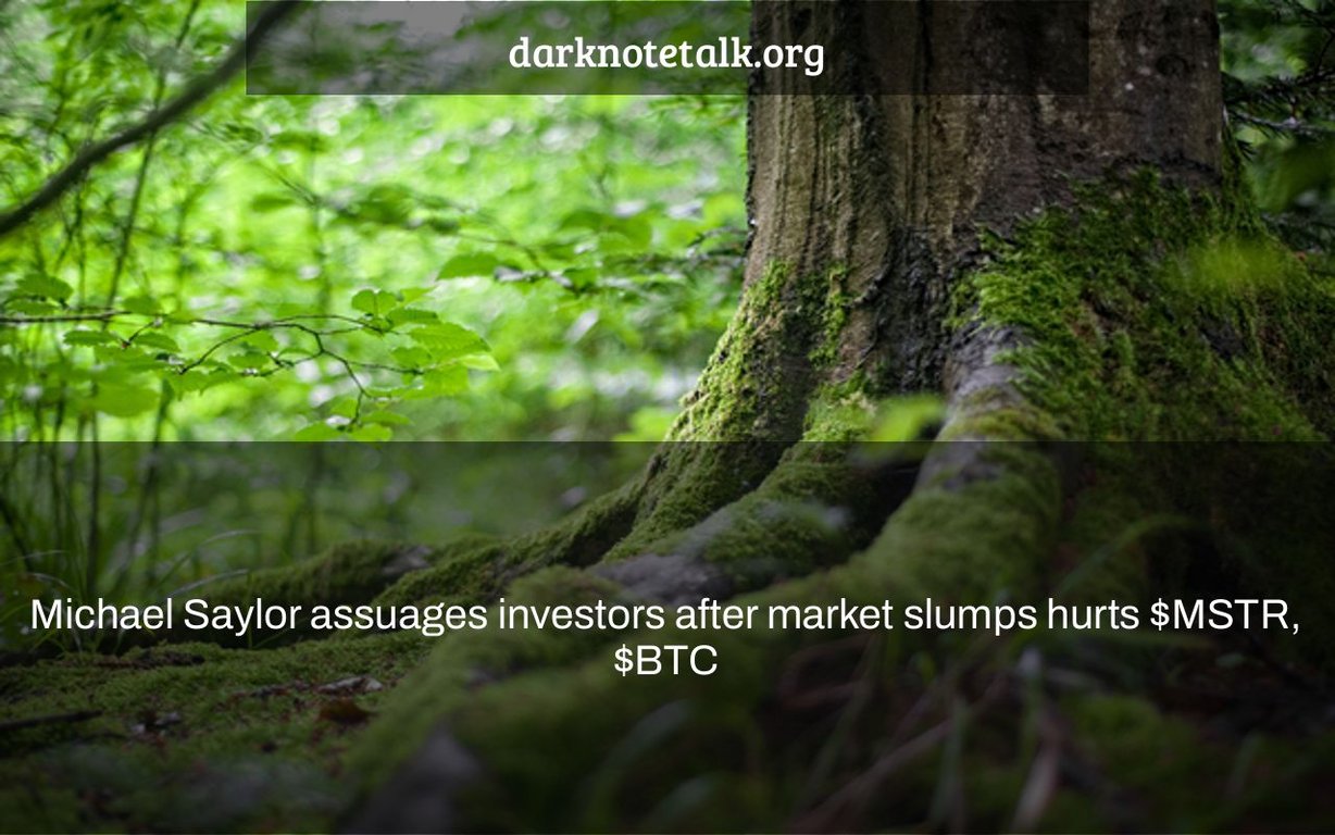 Michael Saylor Calms Investors After Market Slump Hurts $MSTR, $BTC - Dark Note Talk