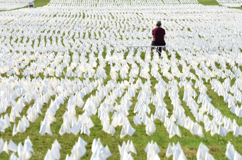 A woman looks at white flags on the National Mall on September 18, 2021 in Washington, DC.  More than 660,000 white flags were installed here to honor Americans who lost their lives to the COVID-19 epidemic. 