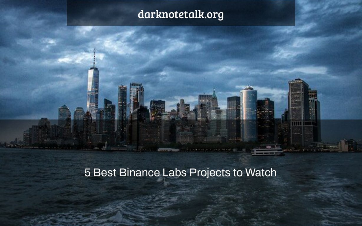 5 Best Binance Labs Projects To Watch - Dark Note Talk