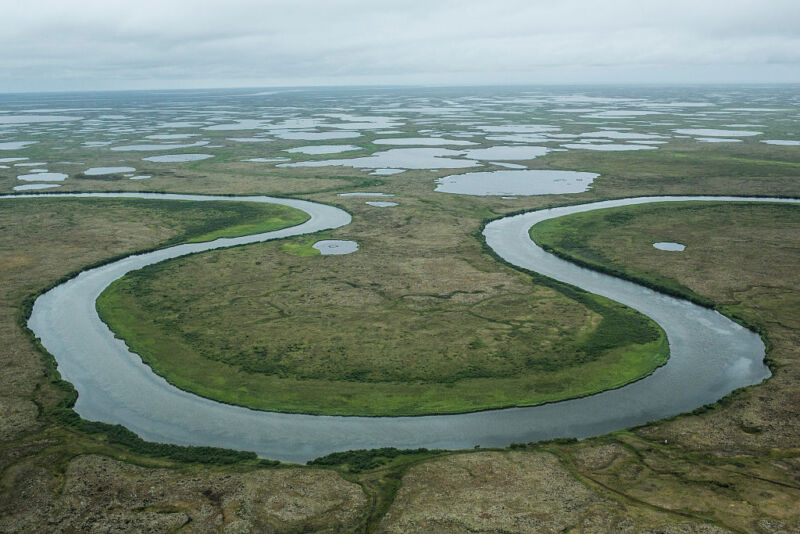 Thawing permafrost exposes old pathogens - and new hosts