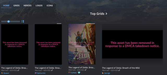 A page from SteamGridDB showing what the DMCA images look like now (as well as a re-uploaded image with a cheeky transparent message on top).