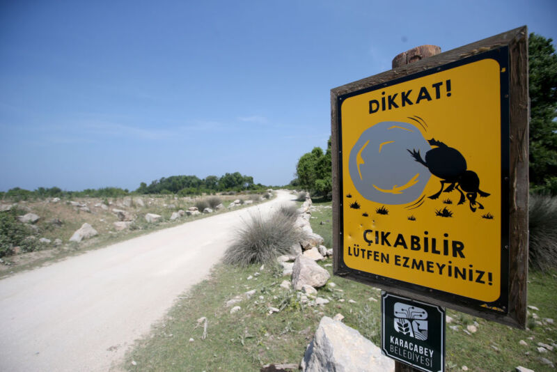 A road sign in Bursa, Turkey, warns drivers of the presence of dung beetles, stating: 