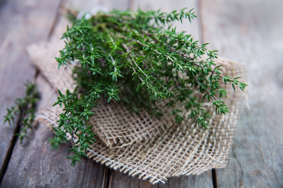 fresh thyme on the table