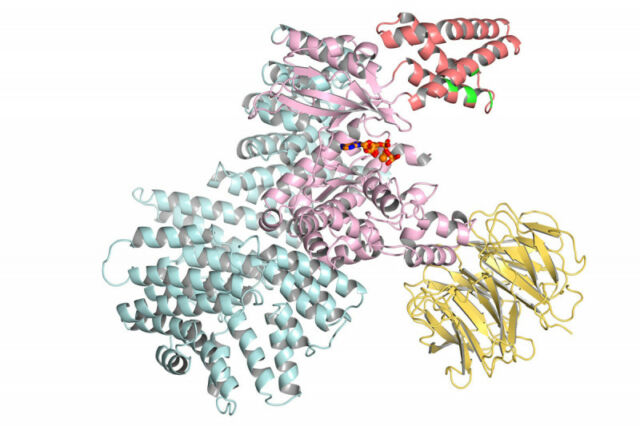 Scheme of protein ribbon models.