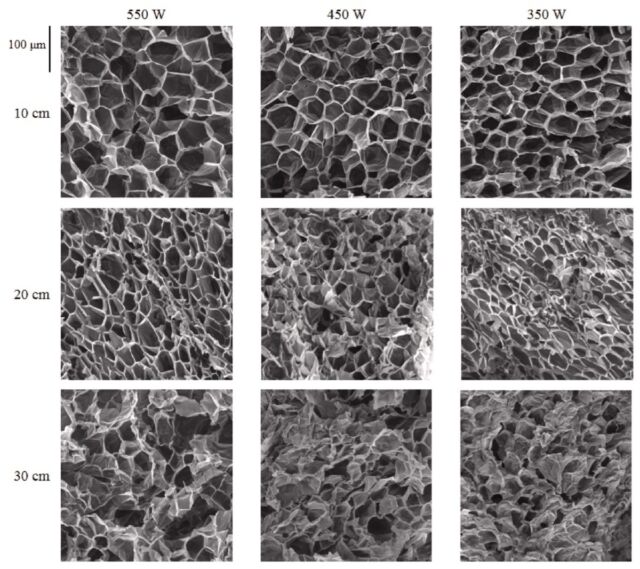 Scanning electron microscopy of expanded popcorns at different stages of puffing by infrared