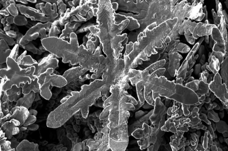 SEM image of a nanoscale snowflake itself composed of zinc dissolved in a liquid gallium solvent.